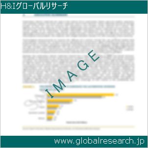 グローバルリサーチ調査レポートのイメージ